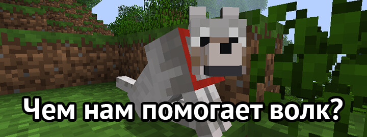 Чем помогает волк?