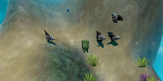 Feed and Grow fish Feed and Grow fish