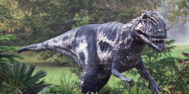 Игры Динозавры Игры Динозавры