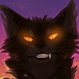 Игры Коты воители картинка