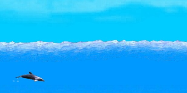 Игры Про дельфинов Игры Про дельфинов