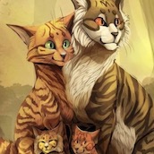 Игра Коты воители пазл 1