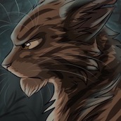 Игра Коты воители пазл 3