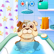 Игра День ухода за животными