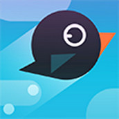 Игра Птичья башня