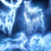 Игра Тест: Кто ваш патронус?