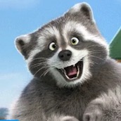 Игра Тест: Ты мопс или енот?