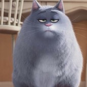 Игра Тест: Ты кошка или собака?