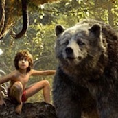 Игра Тест: Кто из животных в фильме Книга Джунглей твой покровитель?