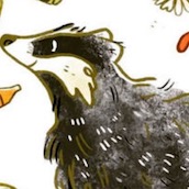 Игра Тест: На сколько процентов ты Пуффендуец?