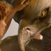 Игра Тест: Какую оценку ты получишь по Уходу за магическими существами?