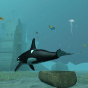 Игра Косатка