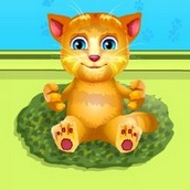 Игра Ухаживаем за рыжиком