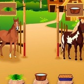 Игра Уход за Лошадьми