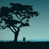 Игра Робот ищет дом