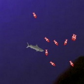 Игра Ловим добычу