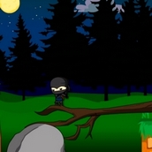 Игра Ниндзя Го доставляет посылку