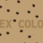 Игра Колония муравьев