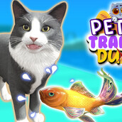 Игра Тренировки для котов