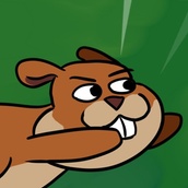 Игра Супер Белки