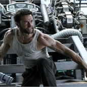 Игра Пазл-пятнашки с Росомахой