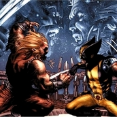 Игра Беспорядок на фото