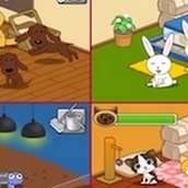 Игра Приют для животных