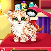 Игра Уход за животными в Рождество