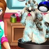 Игра Бережный уход за животными