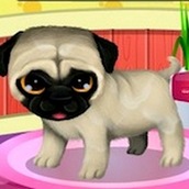 Игра Уход за животными в салоне красоты