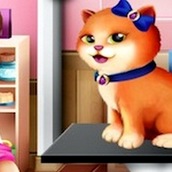 Игра Уход за животными в салоне красоты 2