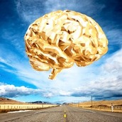 Игра Запутавшиеся птицы