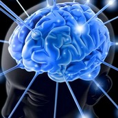 Игра Вслед за оранжевой жабкой