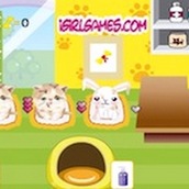 Игра Бульдог лечит животных