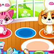 Игра Пет Шоп