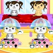 Игра Салон красоты для животных