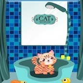 Игра Уход за котенком