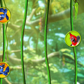 Игра Рио 2: приключения в джунглях