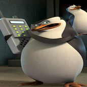 Игра Мадагаскар: поиск отличий с пингвинами