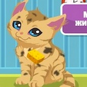 Игра Заботиться о кошках