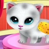 Игра Уход за кошками