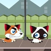 Игра Котята и щенята