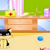 Игра Кормить котят