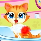 Игра Мыть котят и заботится о них