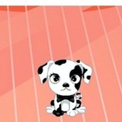 Игра Уход за собаками