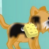 Игра Мыть собак и наряжать их