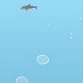 Игра Дельфины 4: плаваем в океане