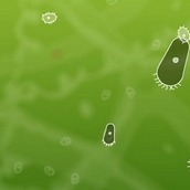 Игра Агарио: жизнь микробов