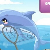 Игра Уход за дельфинами