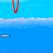 Игра Дельфин плавает среди рыб